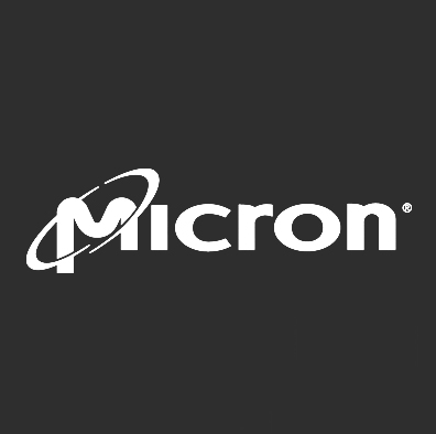 micron-1