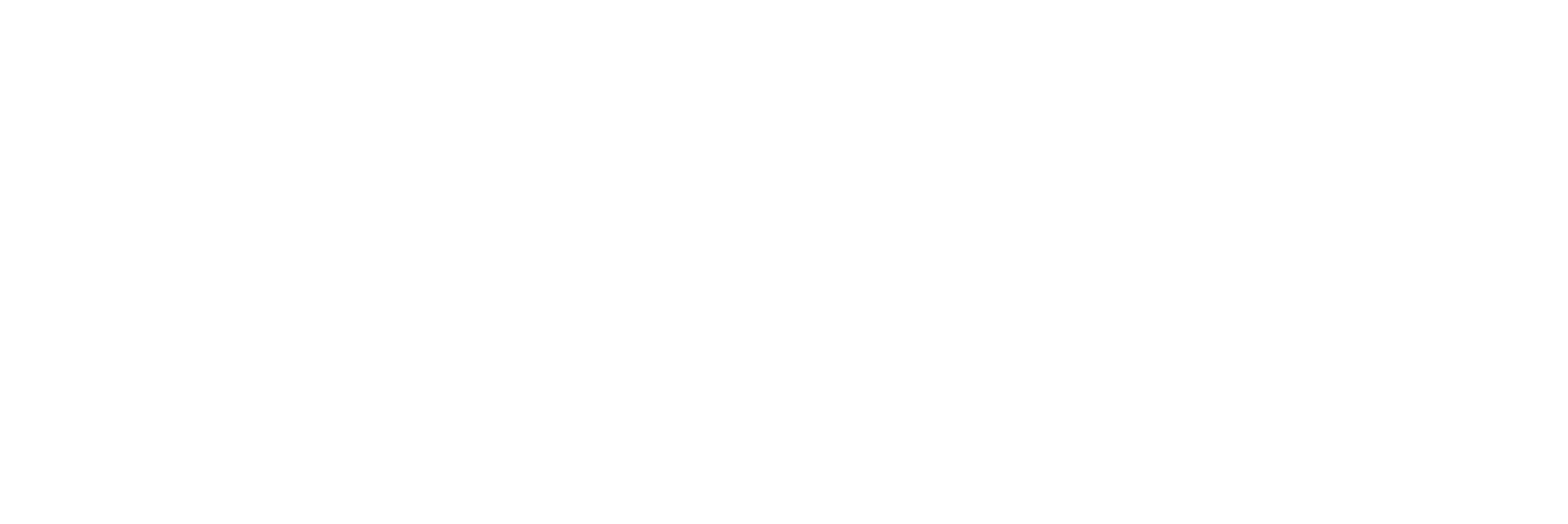 seagate white logo