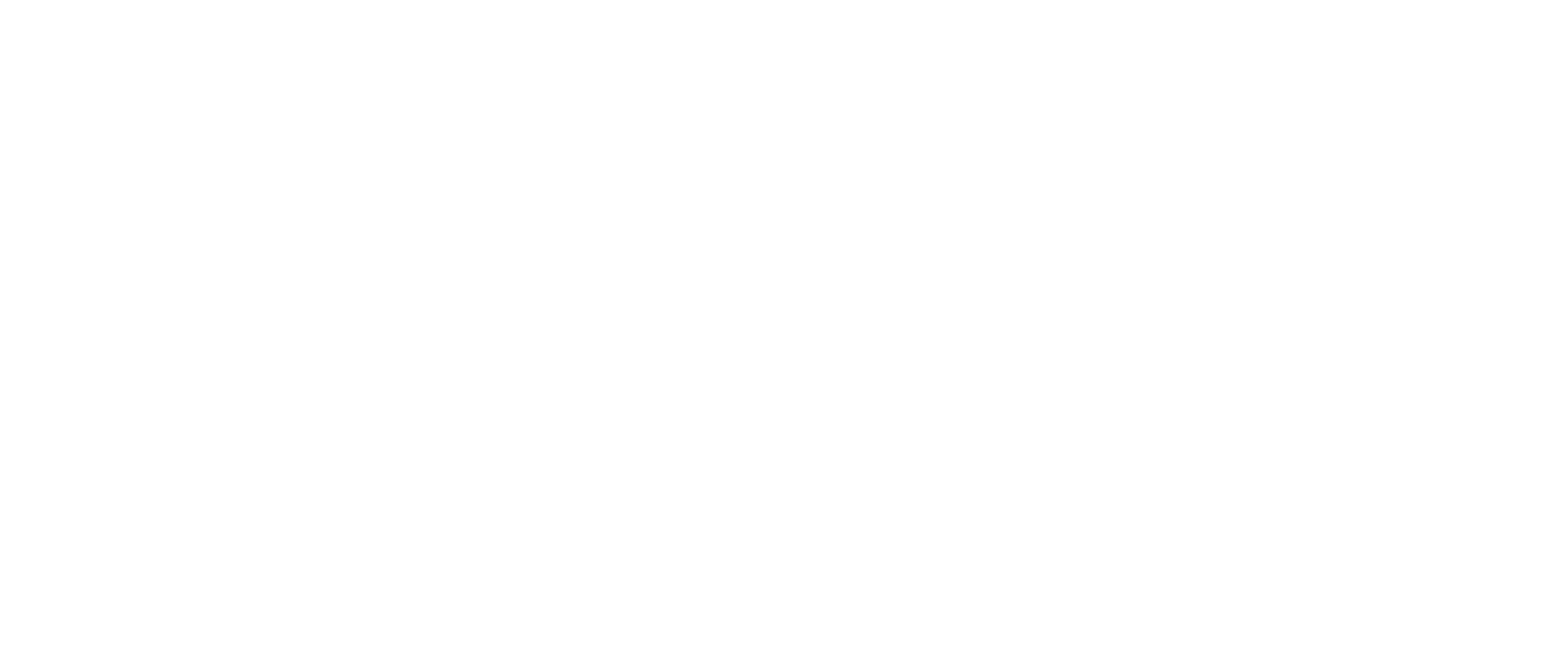 CATO LOGO 2019 - white